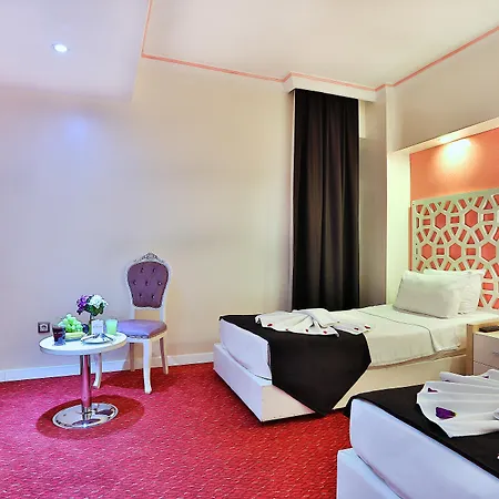 酒店 奥雅苏丹酒店 3*